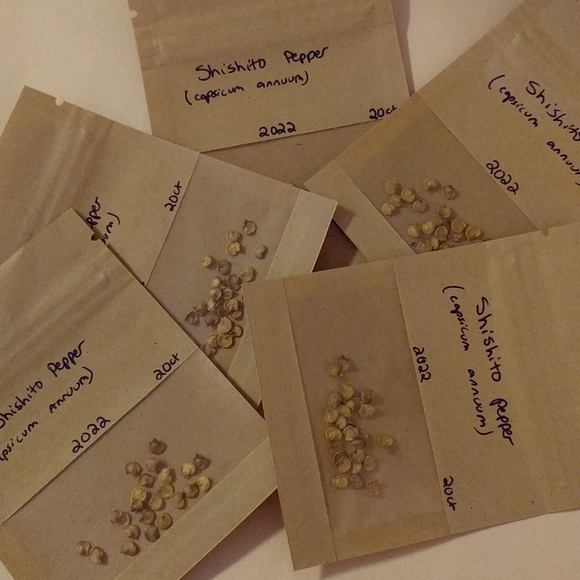 Shishito Pepper Seeds - Picture 3 of 3
